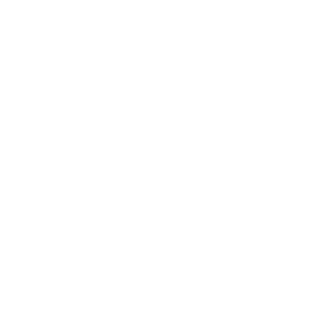 Offline Logo